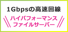 1Gpbsの高速回線 ハイパフォーマンス ファイルサーバー
